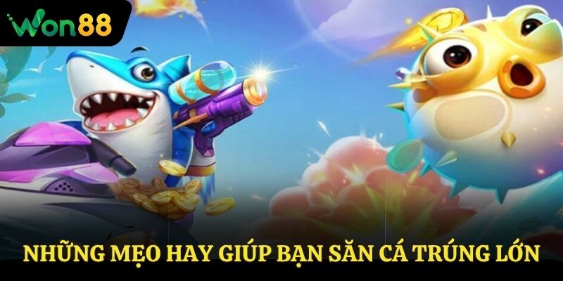 Những mẹo hay giúp bạn săn cá trúng lớn