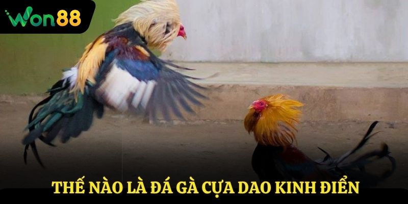 Thế nào là đá gà cựa dao kinh điển?