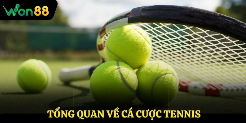 Tổng quan về cá cược tennis và các điểm nổi bật